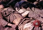 Image of dead soldiers Eniwetok Atoll Marshall Islands, 1944, second 39 stock footage video 65675077522