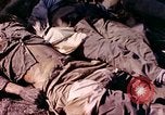 Image of dead soldiers Eniwetok Atoll Marshall Islands, 1944, second 40 stock footage video 65675077522