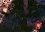 Image of dead soldiers Eniwetok Atoll Marshall Islands, 1944, second 44 stock footage video 65675077522