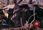 Image of dead soldiers Eniwetok Atoll Marshall Islands, 1944, second 60 stock footage video 65675077522