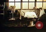 Image of bacteria California United States USA, 1945, second 36 stock footage video 65675077523
