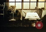 Image of bacteria California United States USA, 1945, second 37 stock footage video 65675077523