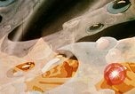 Image of animated cartoon about bacteria California United States USA, 1945, second 23 stock footage video 65675077524