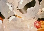 Image of animated cartoon about bacteria California United States USA, 1945, second 24 stock footage video 65675077524