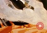 Image of animated cartoon about bacteria California United States USA, 1945, second 26 stock footage video 65675077524