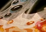 Image of animated cartoon about bacteria California United States USA, 1945, second 27 stock footage video 65675077524