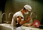 Image of animated cartoon about bacteria California United States USA, 1945, second 56 stock footage video 65675077524
