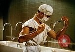 Image of animated cartoon about bacteria California United States USA, 1945, second 59 stock footage video 65675077524