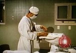 Image of bacteria California United States USA, 1945, second 27 stock footage video 65675077525