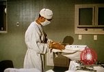 Image of bacteria California United States USA, 1945, second 28 stock footage video 65675077525