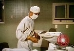 Image of bacteria California United States USA, 1945, second 29 stock footage video 65675077525
