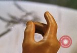 Image of bacteria California United States USA, 1945, second 34 stock footage video 65675077525