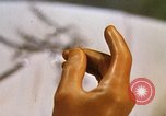 Image of bacteria California United States USA, 1945, second 35 stock footage video 65675077525