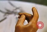 Image of bacteria California United States USA, 1945, second 37 stock footage video 65675077525