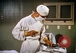 Image of bacteria California United States USA, 1945, second 57 stock footage video 65675077525