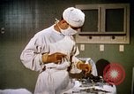 Image of bacteria California United States USA, 1945, second 60 stock footage video 65675077525