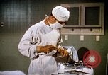 Image of bacteria California United States USA, 1945, second 62 stock footage video 65675077525