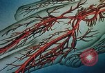 Image of navy sailor recovering from surgery California United States USA, 1945, second 57 stock footage video 65675077527