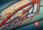 Image of navy sailor recovering from surgery California United States USA, 1945, second 61 stock footage video 65675077527