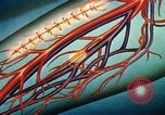 Image of navy sailor recovering from surgery California United States USA, 1945, second 62 stock footage video 65675077527