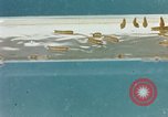 Image of Dichloro-Diphenyl-Trichloroethane United States USA, 1944, second 28 stock footage video 65675077528