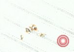 Image of Dichloro-Diphenyl-Trichloroethane United States USA, 1944, second 58 stock footage video 65675077528