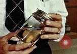 Standbild Dichloro-Diphenyl-Trichlorethan United States USA, 1944, aus Sekunde 6 historischem Filmmaterial Videoclip 65675077529