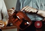 Standbild Dichloro-Diphenyl-Trichlorethan United States USA, 1944, aus Sekunde 17 historischem Filmmaterial Videoclip 65675077529