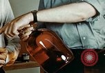 Standbild Dichloro-Diphenyl-Trichlorethan United States USA, 1944, aus Sekunde 18 historischem Filmmaterial Videoclip 65675077529