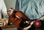 Standbild Dichloro-Diphenyl-Trichlorethan United States USA, 1944, aus Sekunde 24 historischem Filmmaterial Videoclip 65675077529