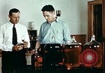 Standbild Dichloro-Diphenyl-Trichlorethan United States USA, 1944, aus Sekunde 25 historischem Filmmaterial Videoclip 65675077529
