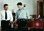Standbild Dichloro-Diphenyl-Trichlorethan United States USA, 1944, aus Sekunde 26 historischem Filmmaterial Videoclip 65675077529