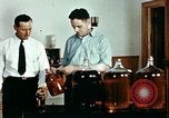 Standbild Dichloro-Diphenyl-Trichlorethan United States USA, 1944, aus Sekunde 27 historischem Filmmaterial Videoclip 65675077529