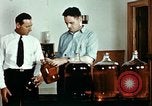Standbild Dichloro-Diphenyl-Trichlorethan United States USA, 1944, aus Sekunde 28 historischem Filmmaterial Videoclip 65675077529