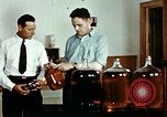 Standbild Dichloro-Diphenyl-Trichlorethan United States USA, 1944, aus Sekunde 29 historischem Filmmaterial Videoclip 65675077529