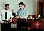 Standbild Dichloro-Diphenyl-Trichlorethan United States USA, 1944, aus Sekunde 30 historischem Filmmaterial Videoclip 65675077529