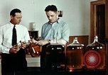 Standbild Dichloro-Diphenyl-Trichlorethan United States USA, 1944, aus Sekunde 31 historischem Filmmaterial Videoclip 65675077529