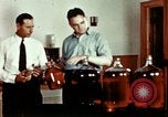 Standbild Dichloro-Diphenyl-Trichlorethan United States USA, 1944, aus Sekunde 32 historischem Filmmaterial Videoclip 65675077529