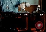 Standbild Dichloro-Diphenyl-Trichlorethan United States USA, 1944, aus Sekunde 33 historischem Filmmaterial Videoclip 65675077529