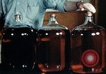 Standbild Dichloro-Diphenyl-Trichlorethan United States USA, 1944, aus Sekunde 34 historischem Filmmaterial Videoclip 65675077529