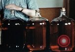 Standbild Dichloro-Diphenyl-Trichlorethan United States USA, 1944, aus Sekunde 35 historischem Filmmaterial Videoclip 65675077529