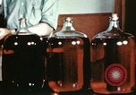 Standbild Dichloro-Diphenyl-Trichlorethan United States USA, 1944, aus Sekunde 36 historischem Filmmaterial Videoclip 65675077529
