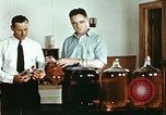 Standbild Dichloro-Diphenyl-Trichlorethan United States USA, 1944, aus Sekunde 37 historischem Filmmaterial Videoclip 65675077529