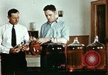 Standbild Dichloro-Diphenyl-Trichlorethan United States USA, 1944, aus Sekunde 38 historischem Filmmaterial Videoclip 65675077529