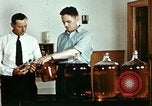 Standbild Dichloro-Diphenyl-Trichlorethan United States USA, 1944, aus Sekunde 39 historischem Filmmaterial Videoclip 65675077529