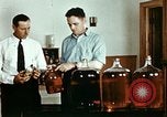 Standbild Dichloro-Diphenyl-Trichlorethan United States USA, 1944, aus Sekunde 40 historischem Filmmaterial Videoclip 65675077529