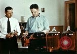 Standbild Dichloro-Diphenyl-Trichlorethan United States USA, 1944, aus Sekunde 41 historischem Filmmaterial Videoclip 65675077529
