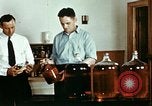 Standbild Dichloro-Diphenyl-Trichlorethan United States USA, 1944, aus Sekunde 42 historischem Filmmaterial Videoclip 65675077529