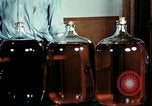 Standbild Dichloro-Diphenyl-Trichlorethan United States USA, 1944, aus Sekunde 43 historischem Filmmaterial Videoclip 65675077529