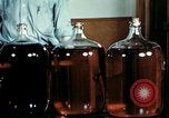 Standbild Dichloro-Diphenyl-Trichlorethan United States USA, 1944, aus Sekunde 45 historischem Filmmaterial Videoclip 65675077529